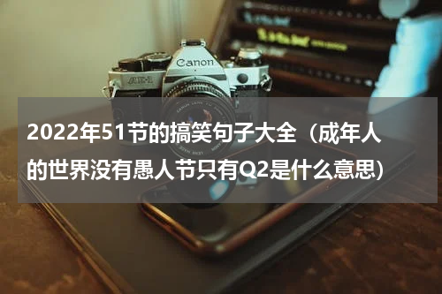 2022年51节的搞笑句子大全（成年人的世界没有愚人节只有Q2是什么意思）