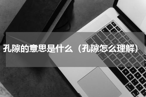 孔隙的意思是什么（孔隙怎么理解）
