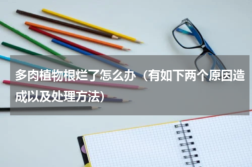 多肉植物根烂了怎么办（有如下两个原因造成以及处理方法）