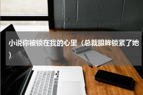 小说你被锁在我的心里（总裁眼眸锁紧了她）