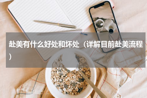 赴美有什么好处和坏处（详解目前赴美流程）