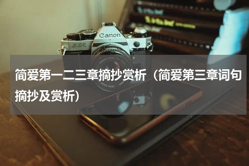简爱第一二三章摘抄赏析（简爱第三章词句摘抄及赏析）