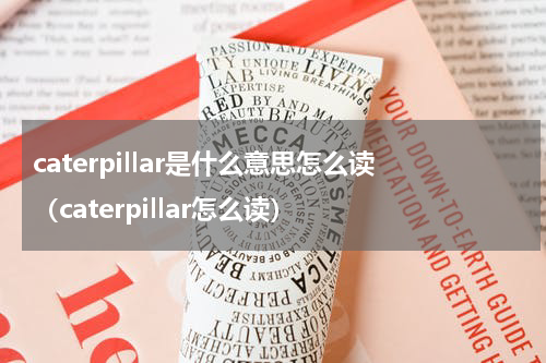 caterpillar是什么意思怎么读（caterpillar怎么读）