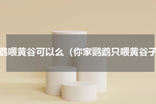 鹦鹉喂黄谷可以么（你家鹦鹉只喂黄谷子）
