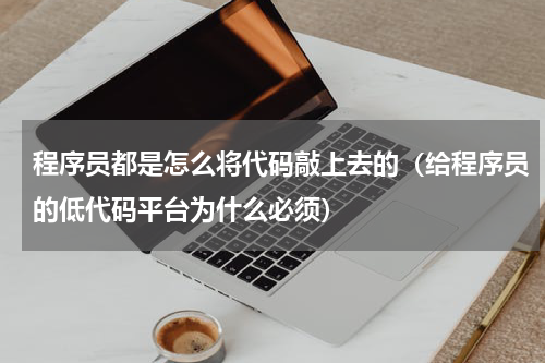 程序员都是怎么将代码敲上去的（给程序员的低代码平台为什么必须）
