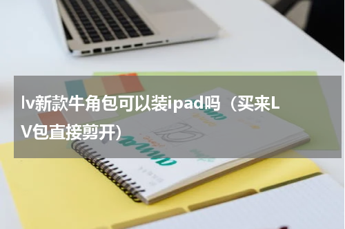 lv新款牛角包可以装ipad吗（买来LV包直接剪开）