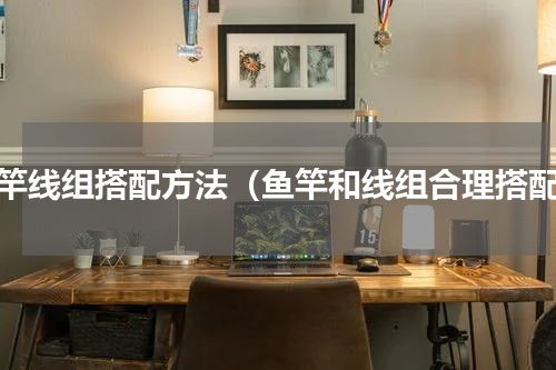 鱼竿线组搭配方法（鱼竿和线组合理搭配）