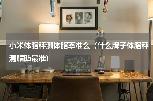 小米体脂秤测体脂率准么（什么牌子体脂秤测脂肪最准）
