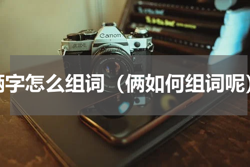俩字怎么组词（俩如何组词呢）