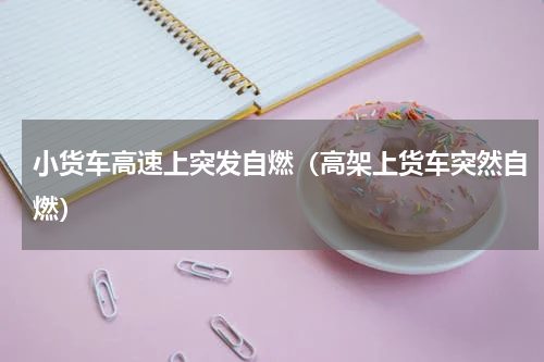 小货车高速上突发自燃（高架上货车突然自燃）