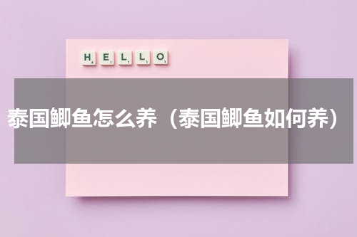 泰国鲫鱼怎么养（泰国鲫鱼如何养）