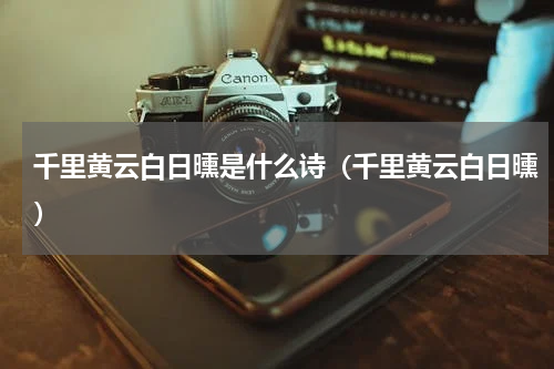 千里黄云白日曛是什么诗（千里黄云白日曛）