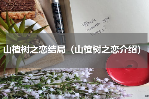 山楂树之恋结局（山楂树之恋介绍）