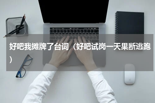 好吧我摊牌了台词（好吧试岗一天果断逃跑）