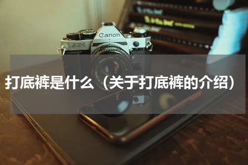 打底裤是什么（关于打底裤的介绍）