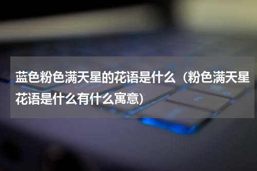 蓝色粉色满天星的花语是什么（粉色满天星花语是什么有什么寓意）