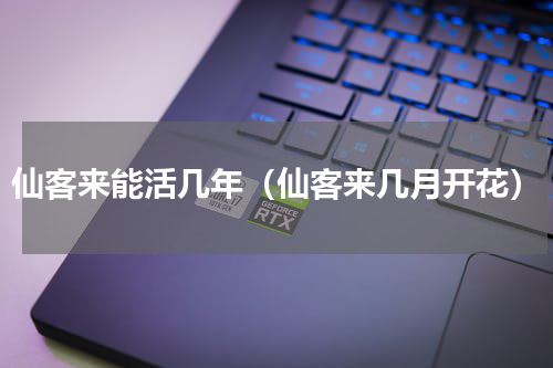 仙客来能活几年（仙客来几月开花）