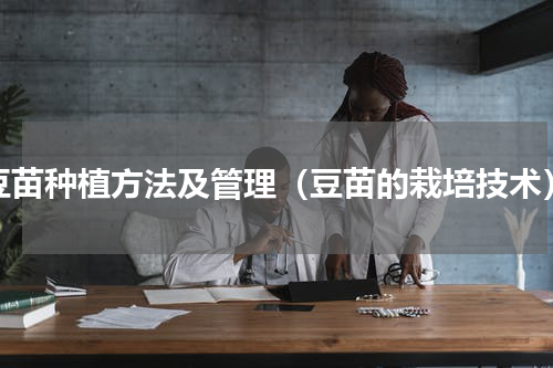 豆苗种植方法及管理（豆苗的栽培技术）
