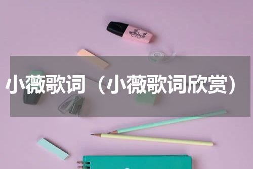 小薇歌词（小薇歌词欣赏）