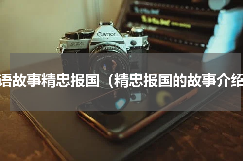 成语故事精忠报国（精忠报国的故事介绍）