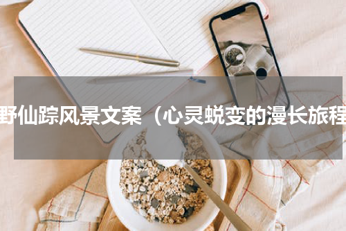绿野仙踪风景文案（心灵蜕变的漫长旅程）
