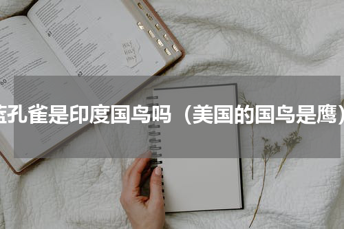 蓝孔雀是印度国鸟吗（美国的国鸟是鹰）