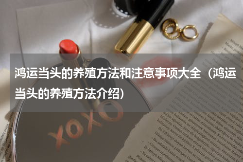 鸿运当头的养殖方法和注意事项大全（鸿运当头的养殖方法介绍）