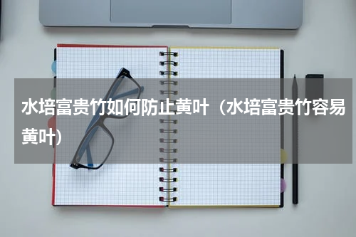 水培富贵竹如何防止黄叶（水培富贵竹容易黄叶）