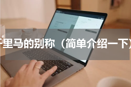 千里马的别称（简单介绍一下）