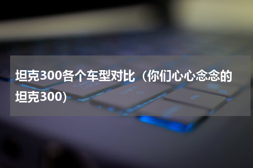 坦克300各个车型对比（你们心心念念的坦克300）