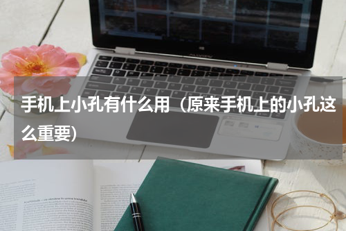 手机上小孔有什么用（原来手机上的小孔这么重要）