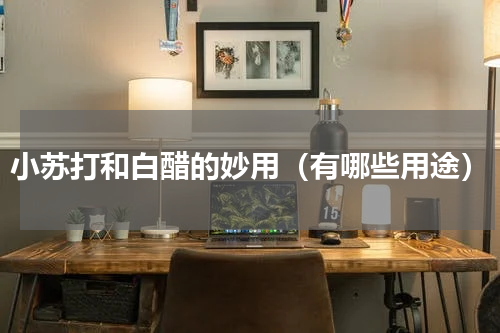 小苏打和白醋的妙用（有哪些用途）