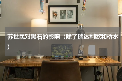苏世民对黑石的影响（除了瑞达利欧和桥水）