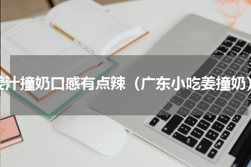 姜汁撞奶口感有点辣（广东小吃姜撞奶）
