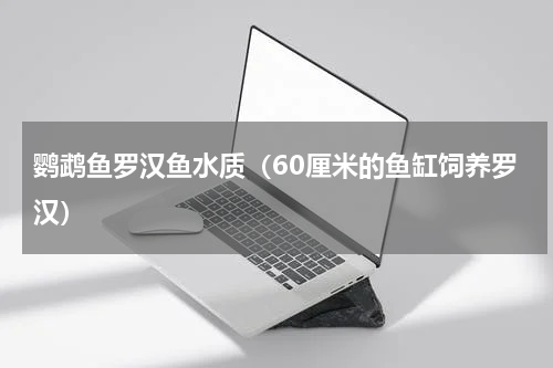 鹦鹉鱼罗汉鱼水质（60厘米的鱼缸饲养罗汉）