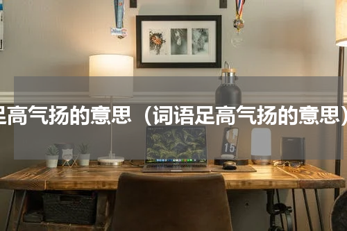 足高气扬的意思（词语足高气扬的意思）