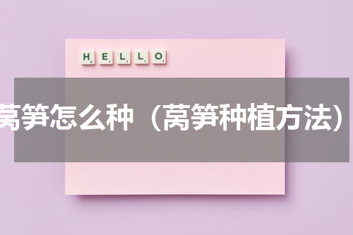 莴笋怎么种（莴笋种植方法）