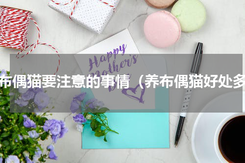 养布偶猫要注意的事情（养布偶猫好处多）