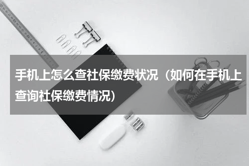 手机上怎么查社保缴费状况（如何在手机上查询社保缴费情况）