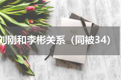 刘刚和李彬关系（同被34）
