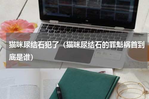 猫咪尿结石犯了（猫咪尿结石的罪魁祸首到底是谁）