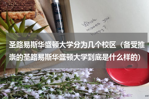 圣路易斯华盛顿大学分为几个校区（备受推崇的圣路易斯华盛顿大学到底是什么样的）