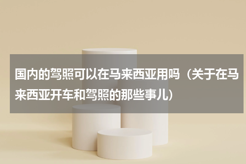 国内的驾照可以在马来西亚用吗（关于在马来西亚开车和驾照的那些事儿）