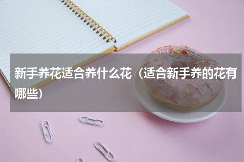 新手养花适合养什么花（适合新手养的花有哪些）