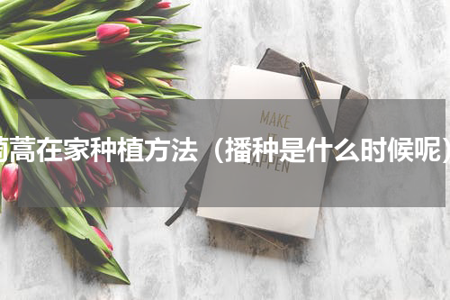 茼蒿在家种植方法（播种是什么时候呢）