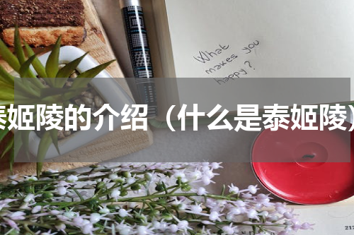 泰姬陵的介绍（什么是泰姬陵）