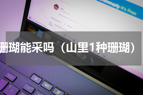 珊瑚能采吗（山里1种珊瑚）