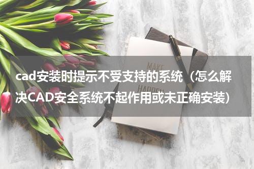 cad安装时提示不受支持的系统（怎么解决CAD安全系统不起作用或未正确安装）