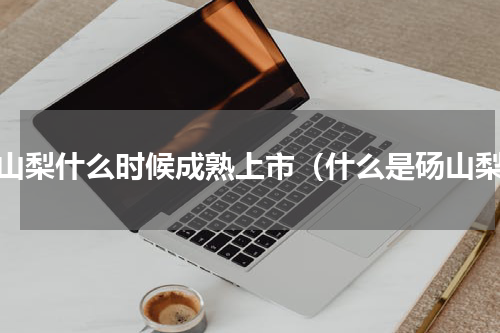 砀山梨什么时候成熟上市（什么是砀山梨）