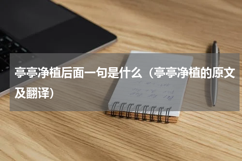 亭亭净植后面一句是什么（亭亭净植的原文及翻译）